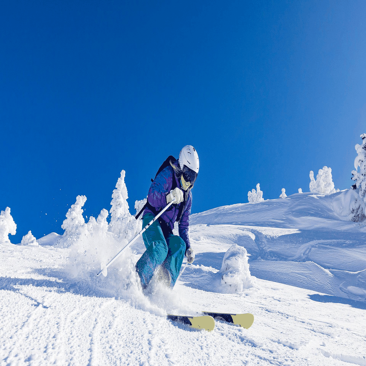 20201211/5fd2c8a070d7d.png