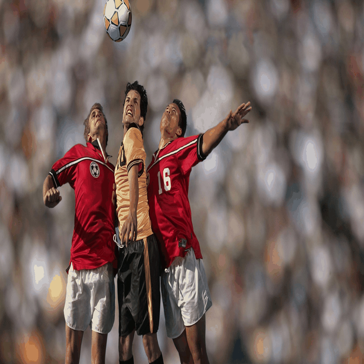 20201217/5fdab7b60f9fe.png